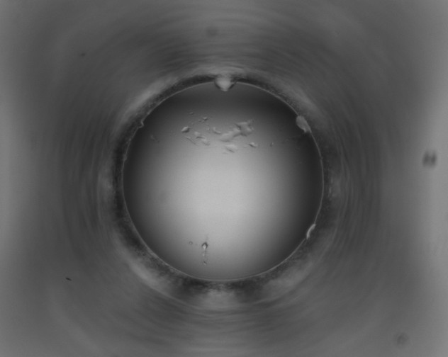 X0000093520256200710121550