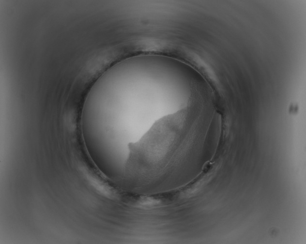 X0000093520257200710121550