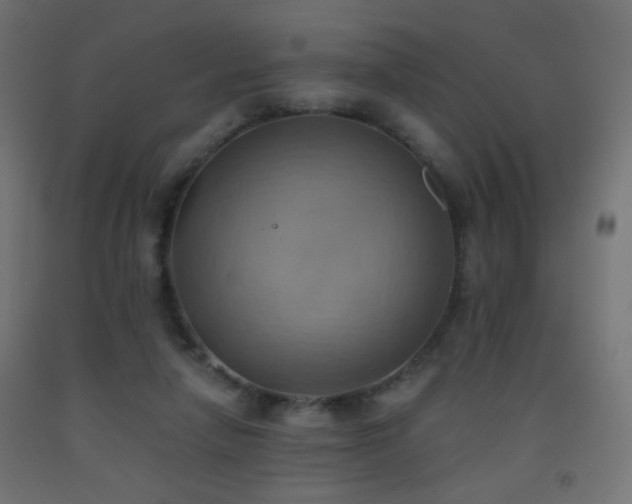 X0000093520258200710121550