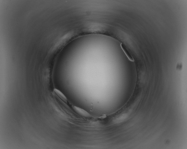 X0000093520260200710121550