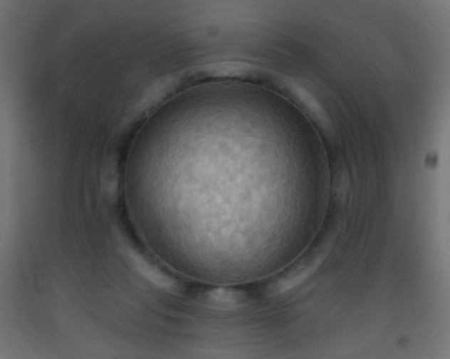 X0000093520261200710121550