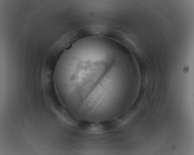 X0000093520263200710121550