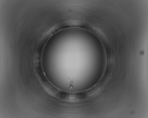X0000093520264200710121550
