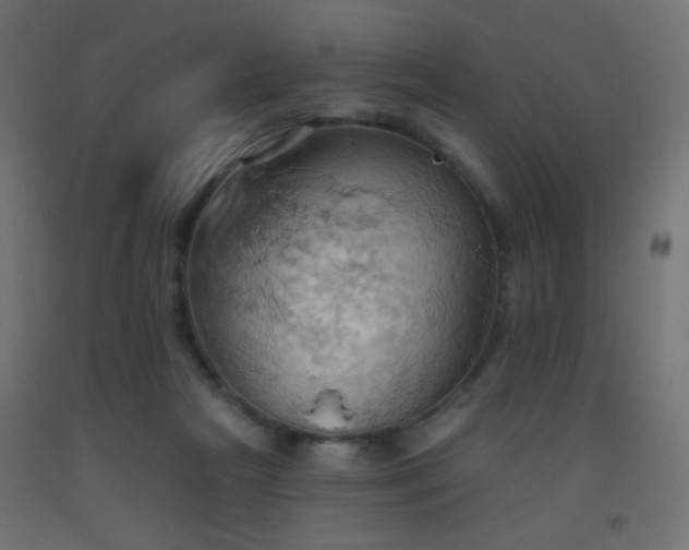 X0000093520265200710121550