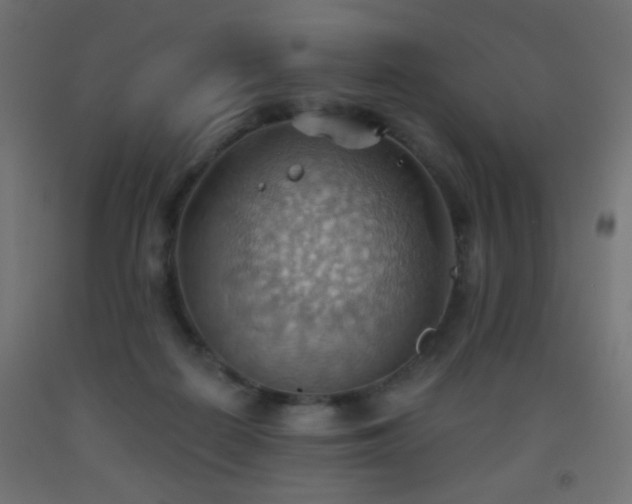 X0000093520266200710121550