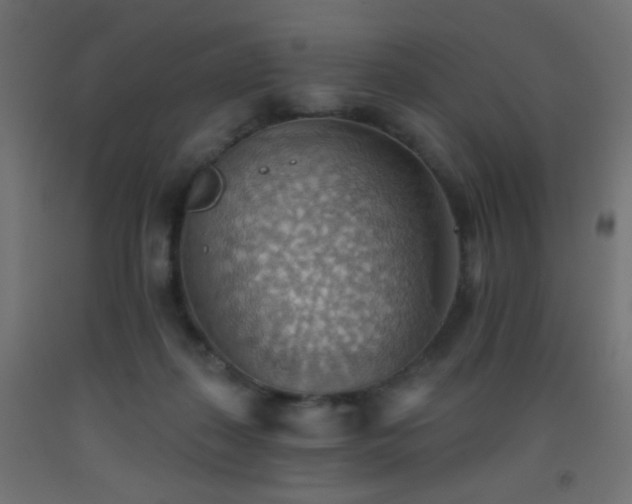 X0000093520267200710121550