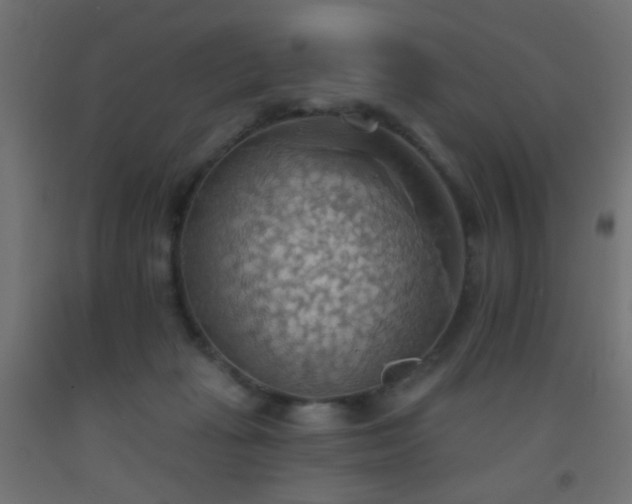 X0000093520269200710121550