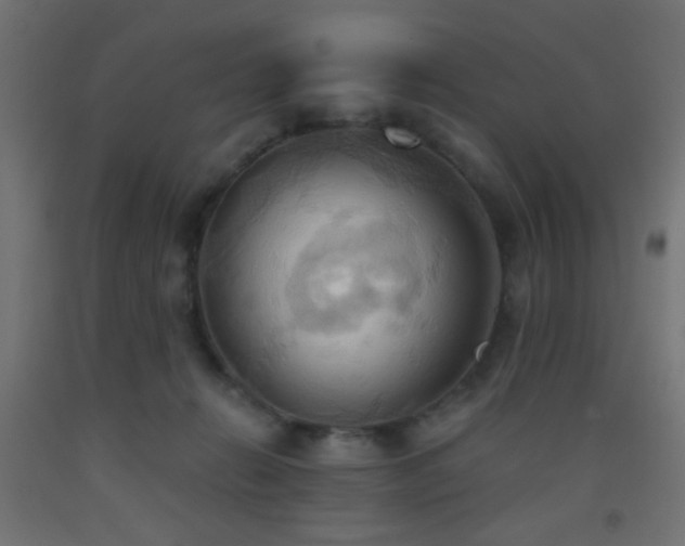 X0000093520270200710121550