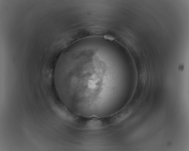 X0000093520271200710121550
