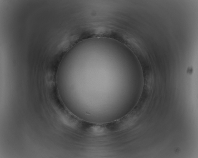 X0000093520272200710121550