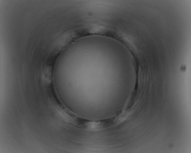 X0000093520273200710121550