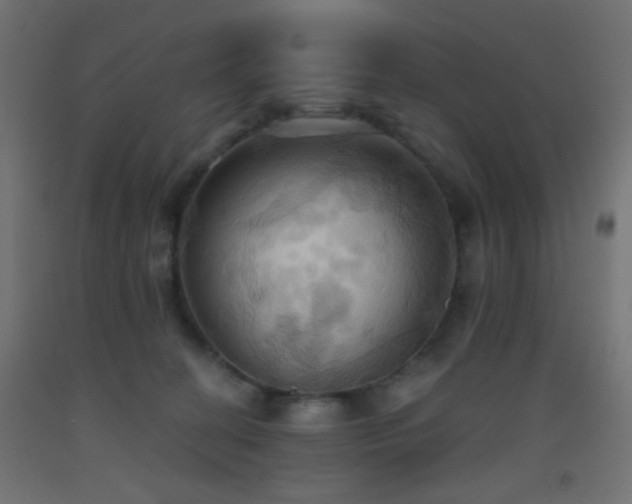 X0000093520274200710121550