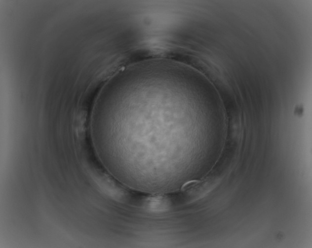 X0000093520275200710121550