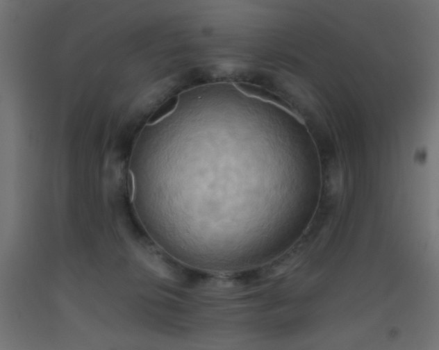 X0000093520276200710121550