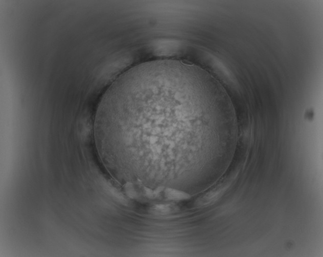 X0000093520277200710121550