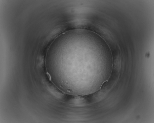 X0000093520278200710121551