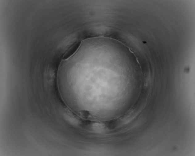 X0000093520279200710121551
