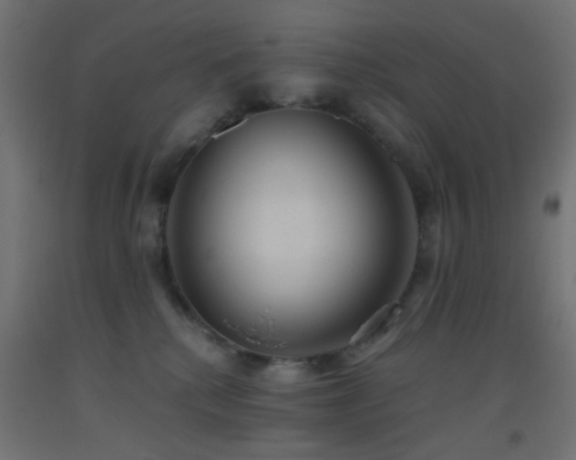 X0000093520280200710121551