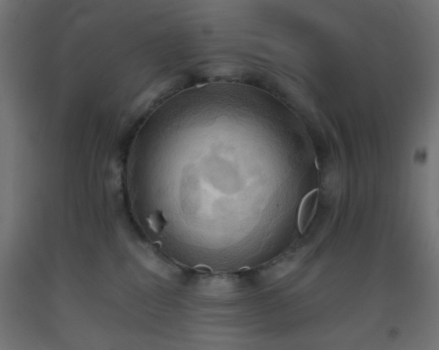 X0000093520282200710121551