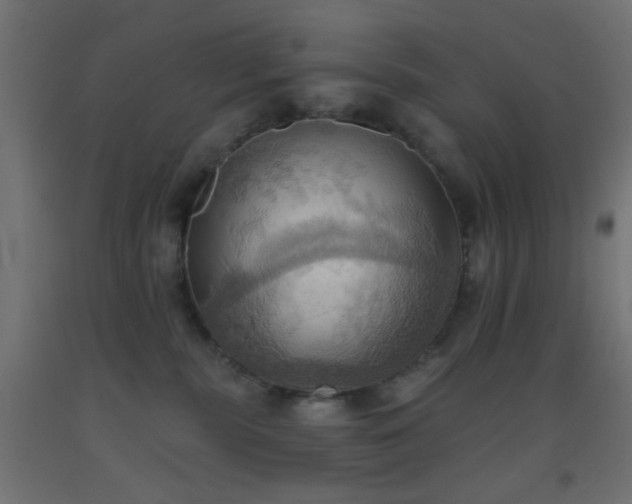X0000093520283200710121551