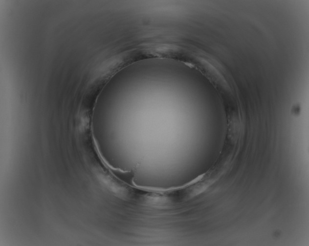 X0000093520284200710121551