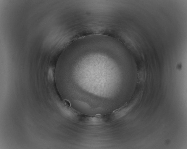 X0000093520286200710121551