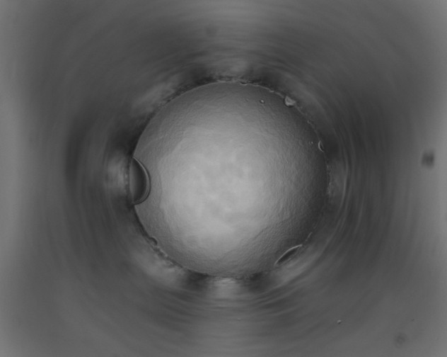 X0000093520287200710121551
