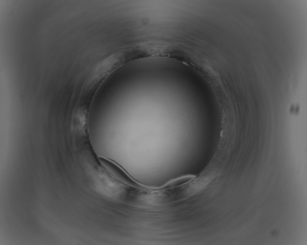 X0000093520288200710121551