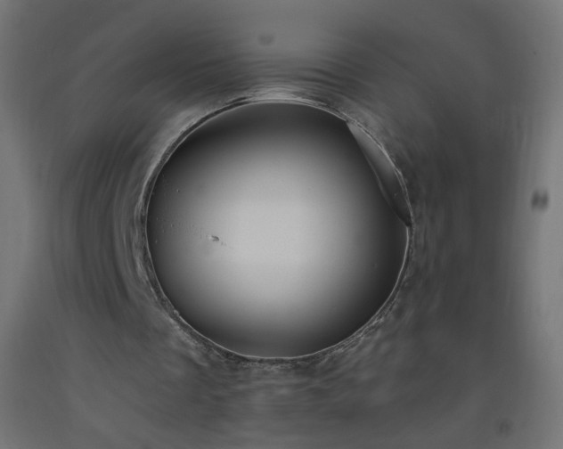 X0000093520289200710121550