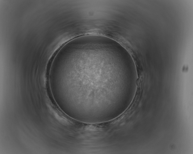X0000093520290200710121550