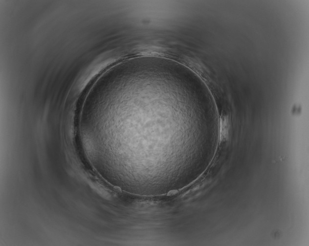 X0000093520291200710121550