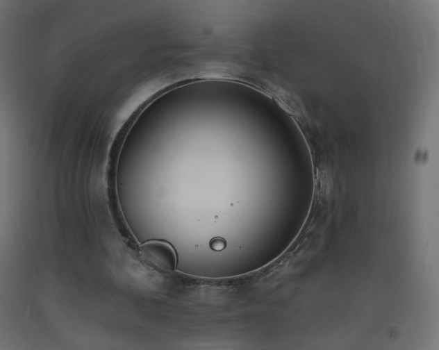 X0000093520292200710121550