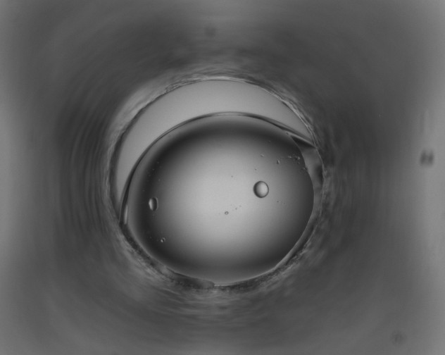 X0000093520293200710121550