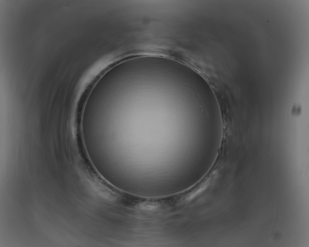 X0000093520294200710121550