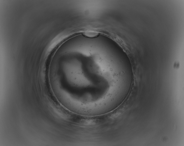 X0000093520295200710121550