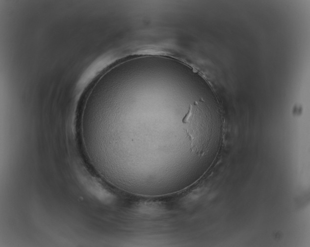 X0000093520296200710121550