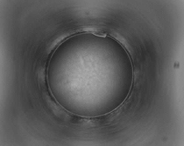 X0000093520297200710121550