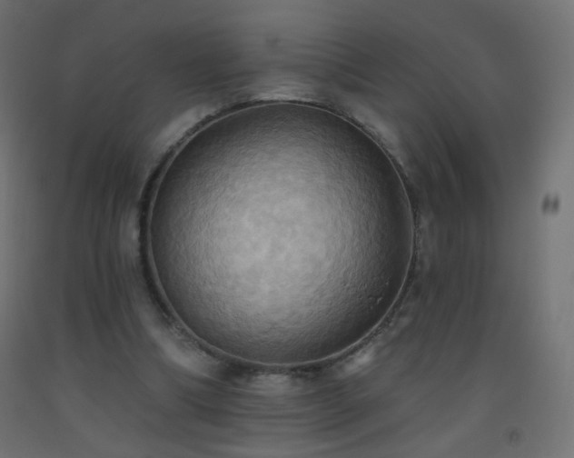 X0000093520298200710121550