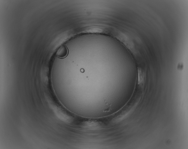 X0000093520300200710121550