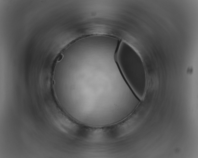 X0000093520301200710121550