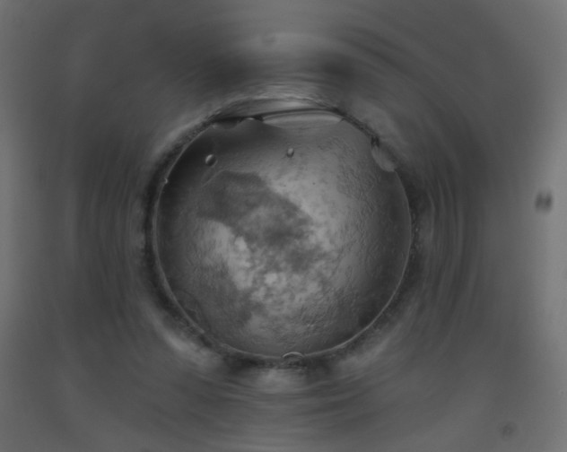 X0000093520303200710121550