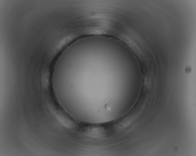 X0000093520304200710121550