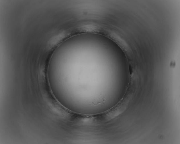 X0000093520306200710121550