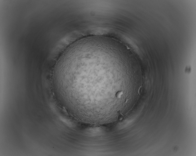 X0000093520307200710121550