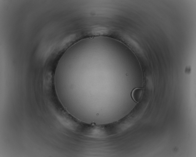 X0000093520308200710121550