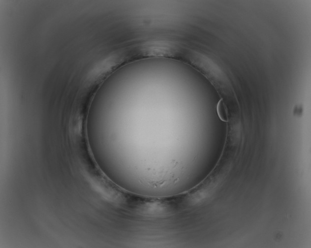 X0000093520310200710121550
