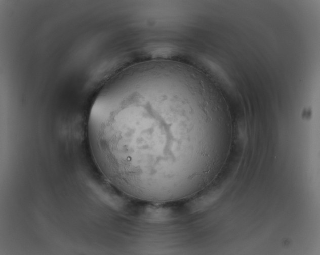 X0000093520311200710121550