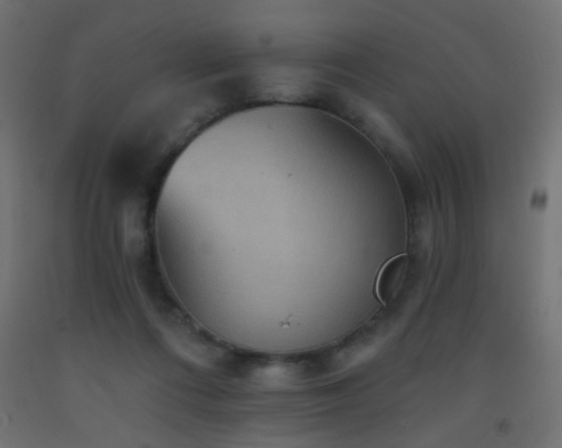 X0000093520312200710121550
