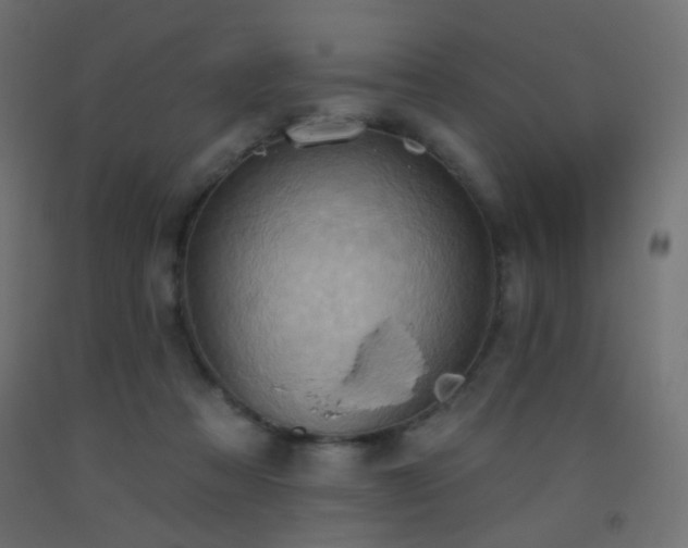 X0000093520313200710121550