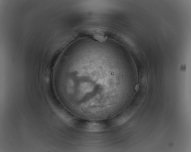 X0000093520315200710121550
